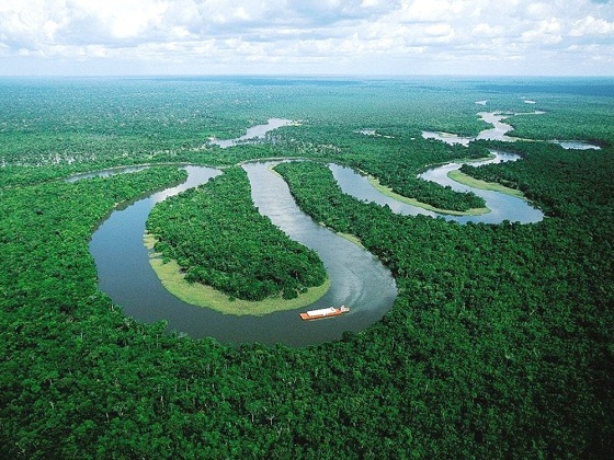 Brazil-Amazon Rainforest