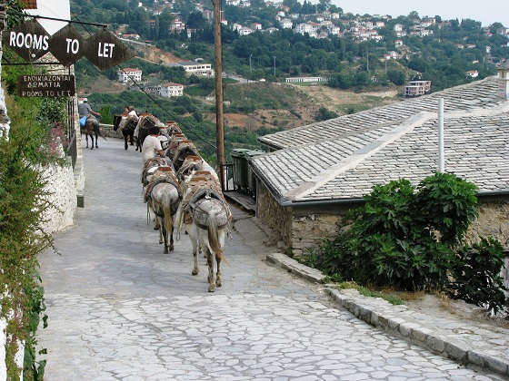 Makrinitsa-mules on the road