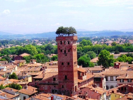 Lucca-Guinigi Tower
