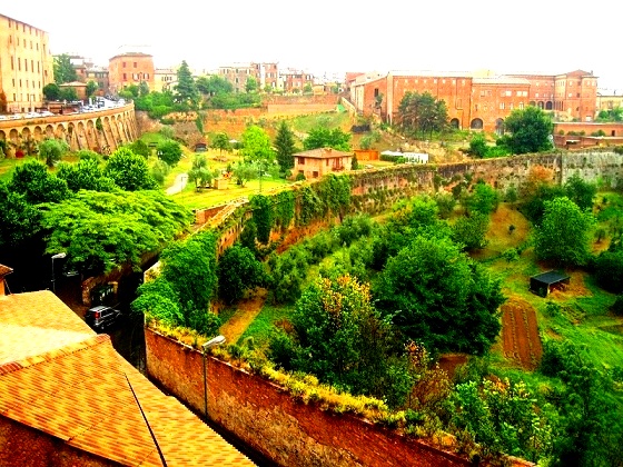 Siena-Medieval wall