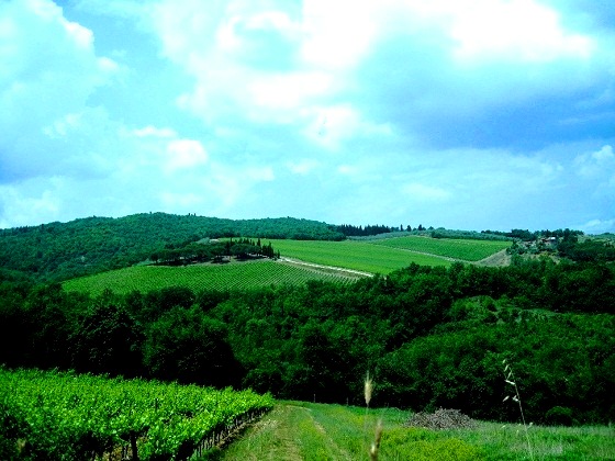 Toscana greenfields