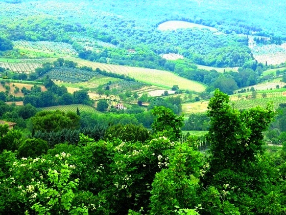 San Gimingano-Toscana landscape