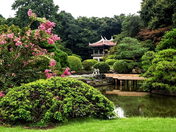 Tokyo-Shinjuku Gyoen National Garden