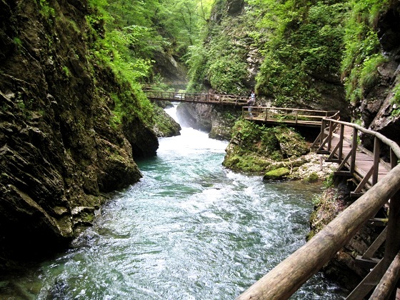 Vintgar Gorge-Radovna River